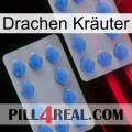 Drachen Kräuter 20